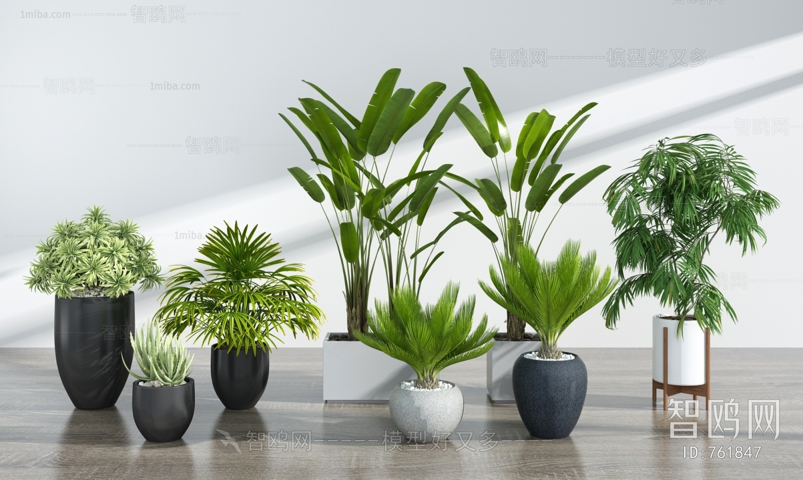 Modern Potted Green Plant