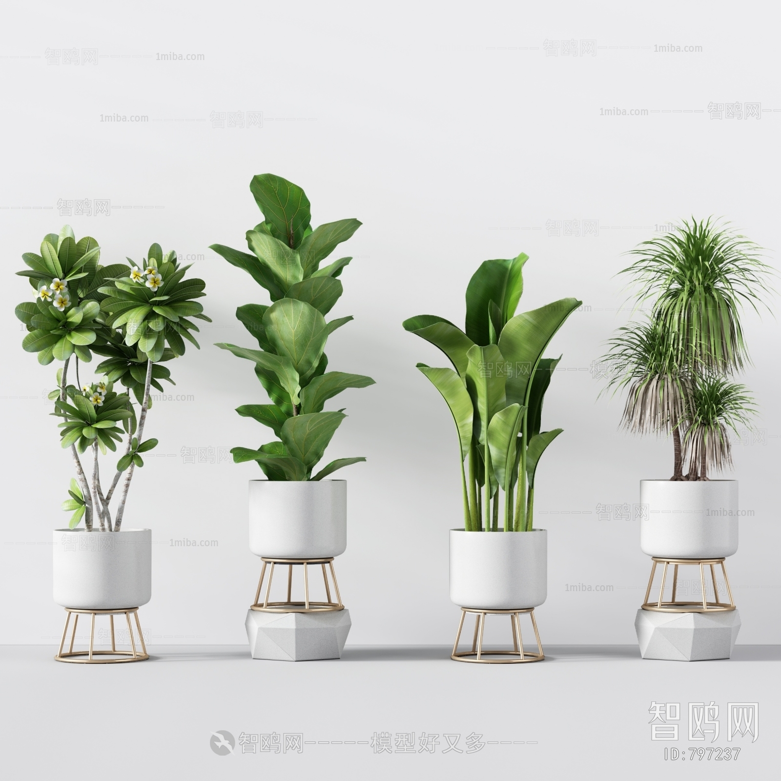 Modern Potted Green Plant