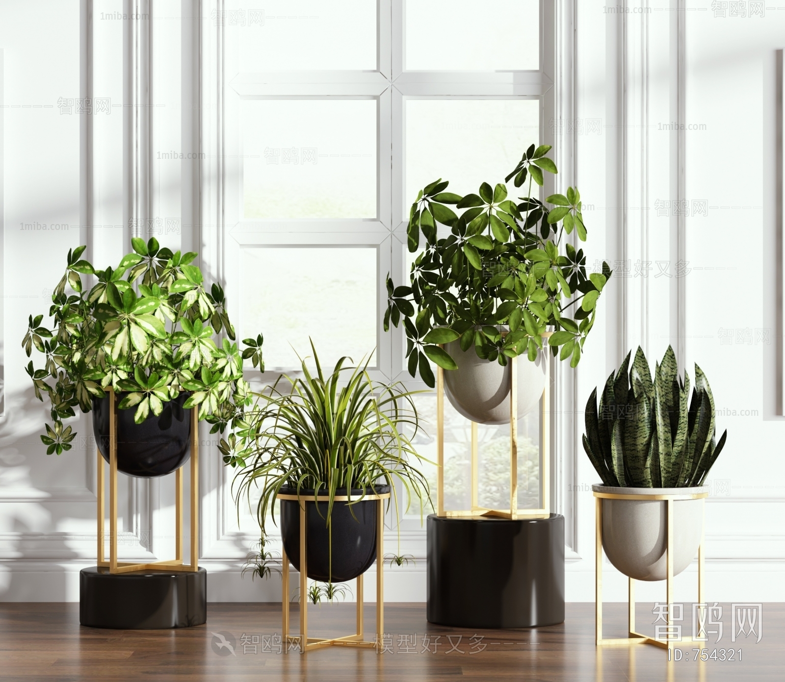 Modern Potted Green Plant