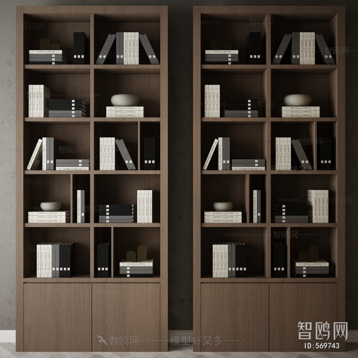 Modern Bookcase