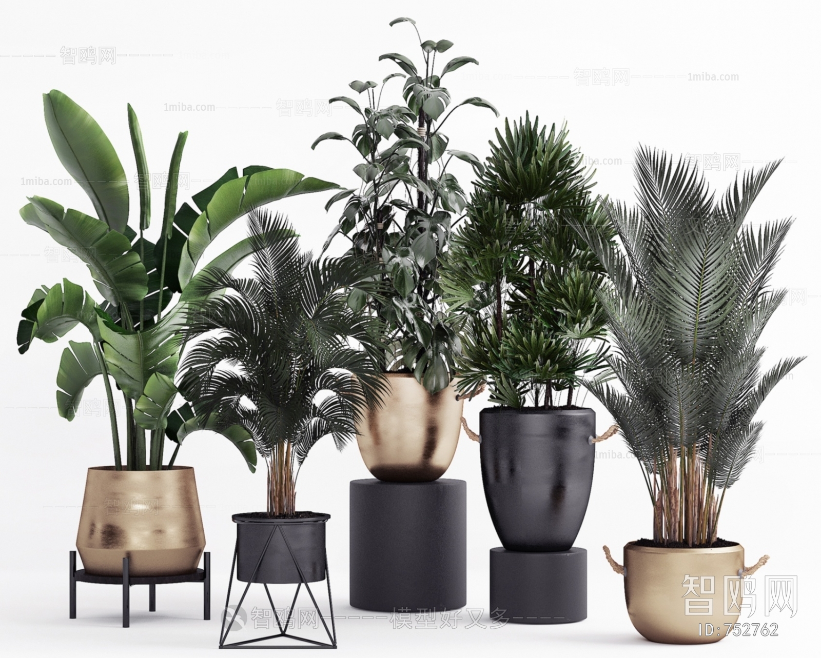 Modern Potted Green Plant