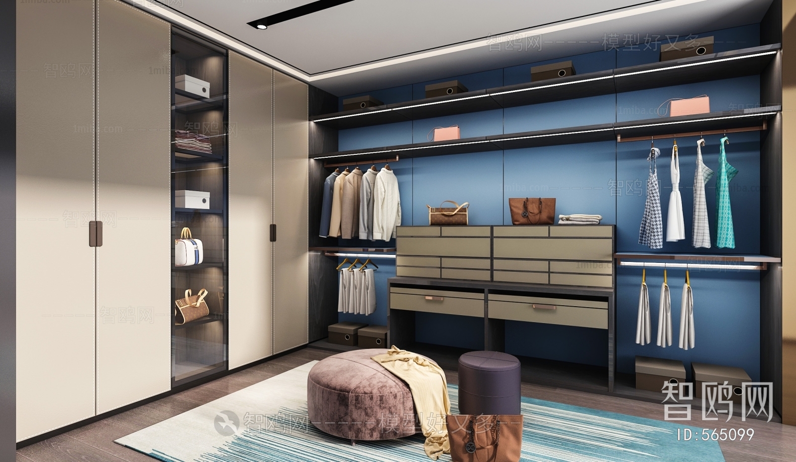 Modern Clothes Storage Area