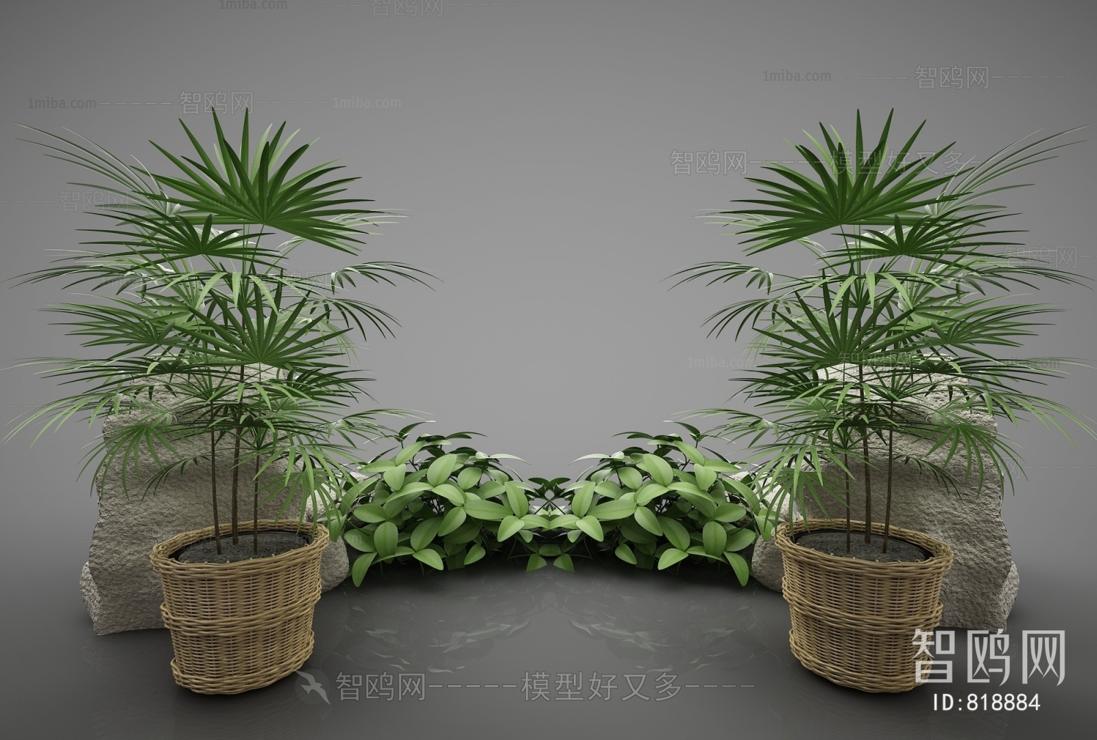 Modern Potted Green Plant