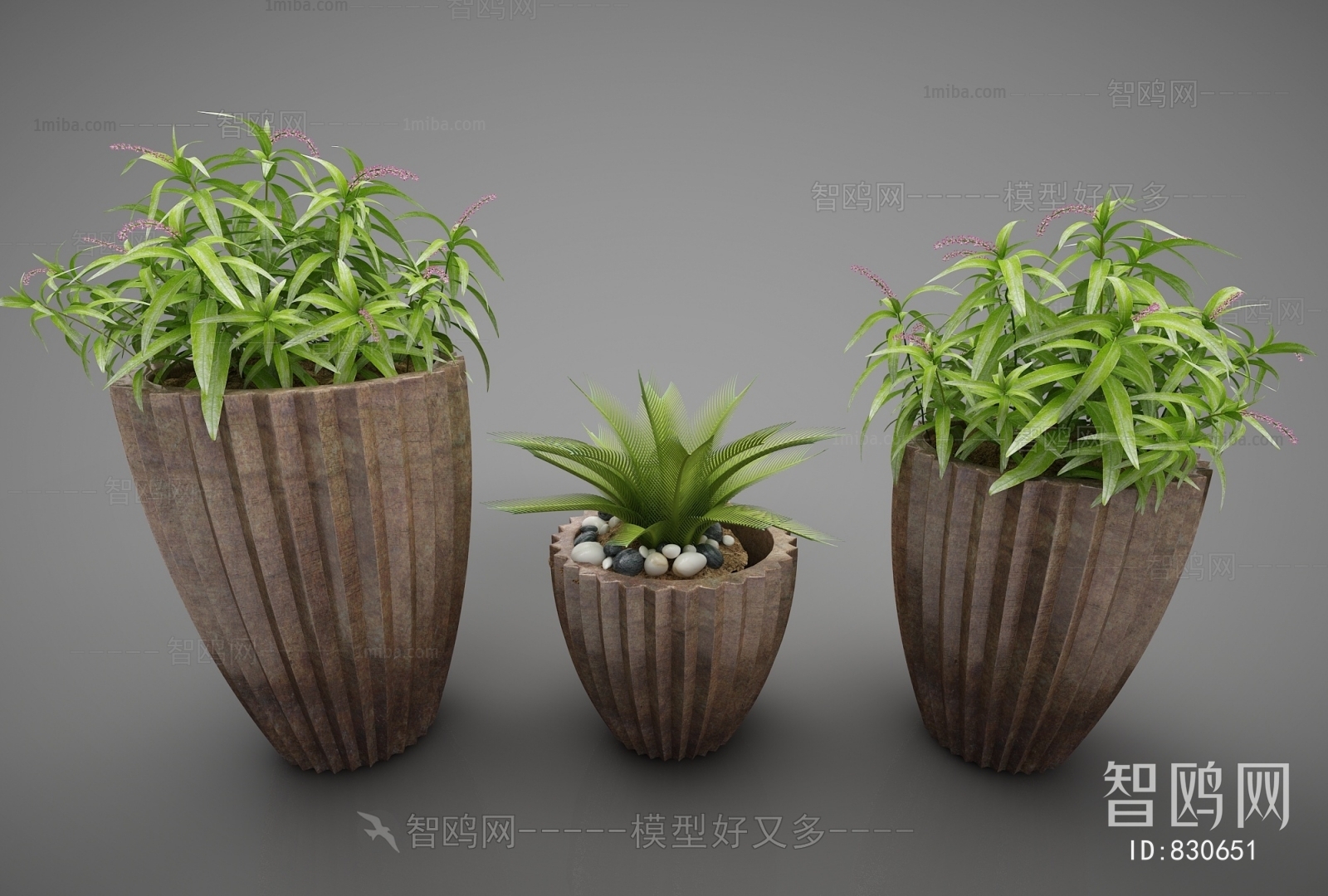 Modern Potted Green Plant