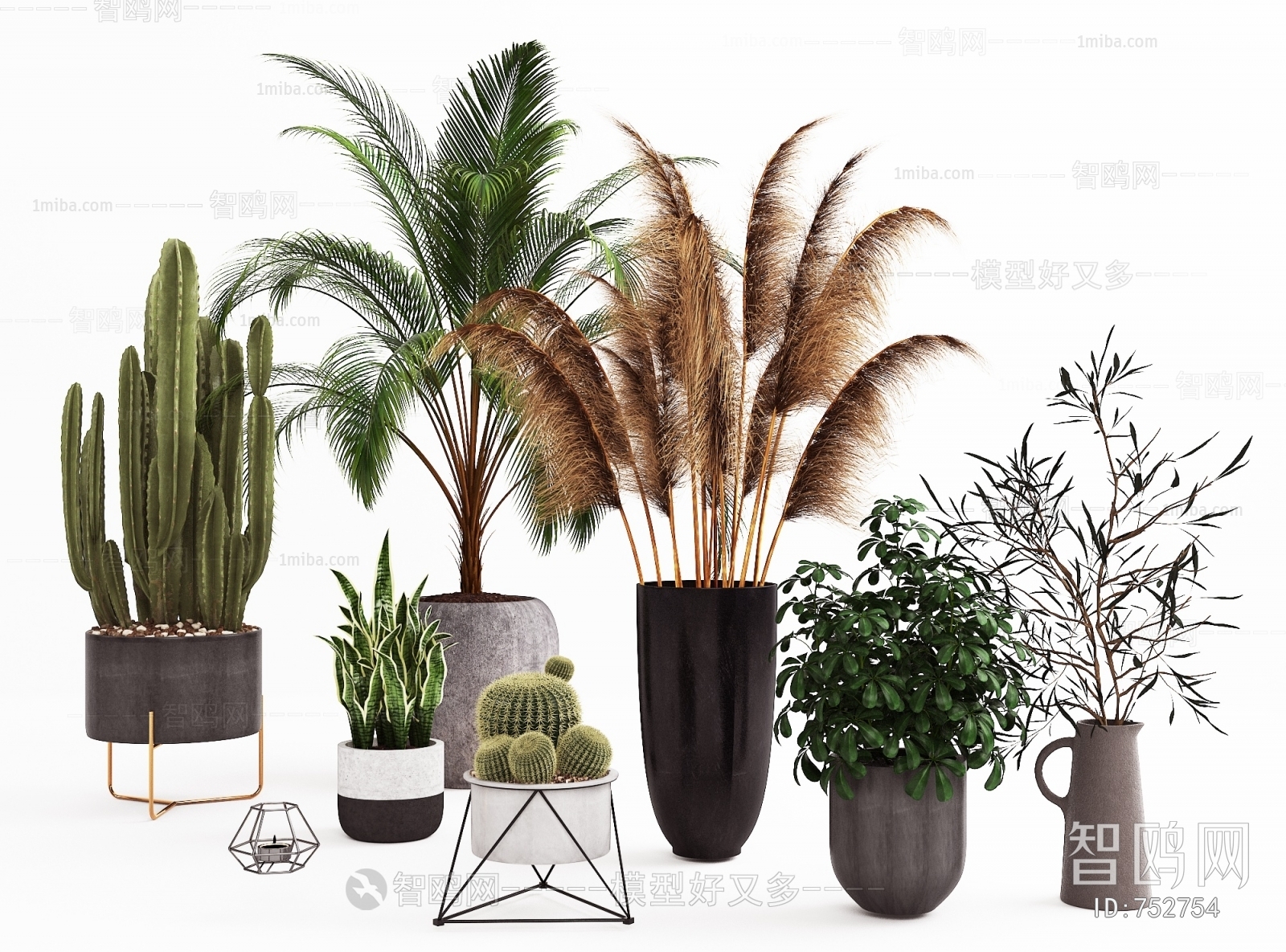 Modern Potted Green Plant