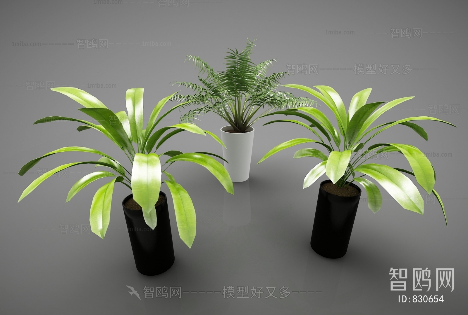 Modern Potted Green Plant