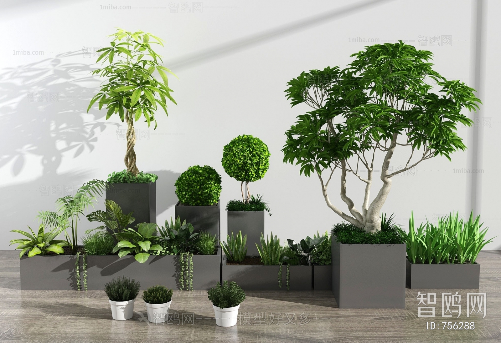 Modern Potted Green Plant