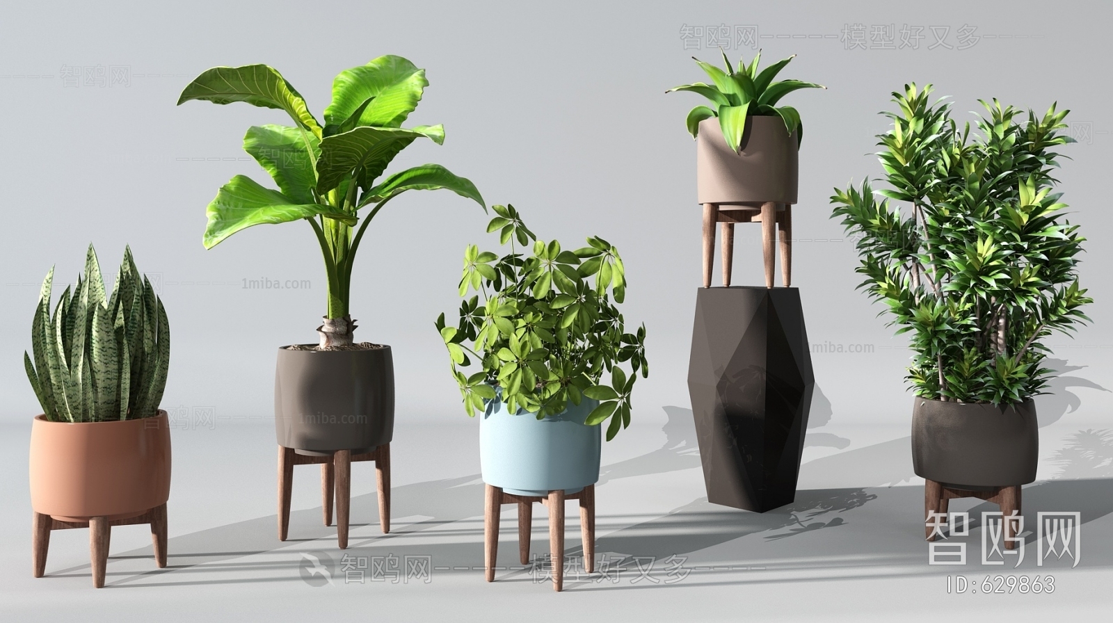 Modern Potted Green Plant