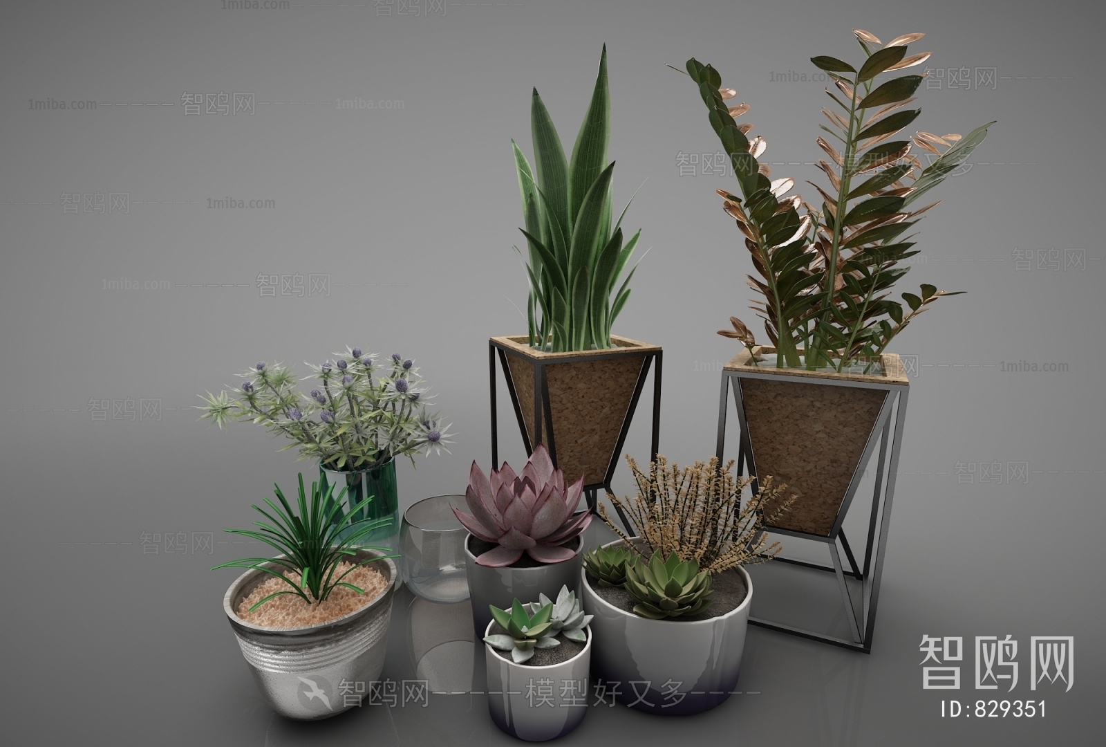 Modern Potted Green Plant