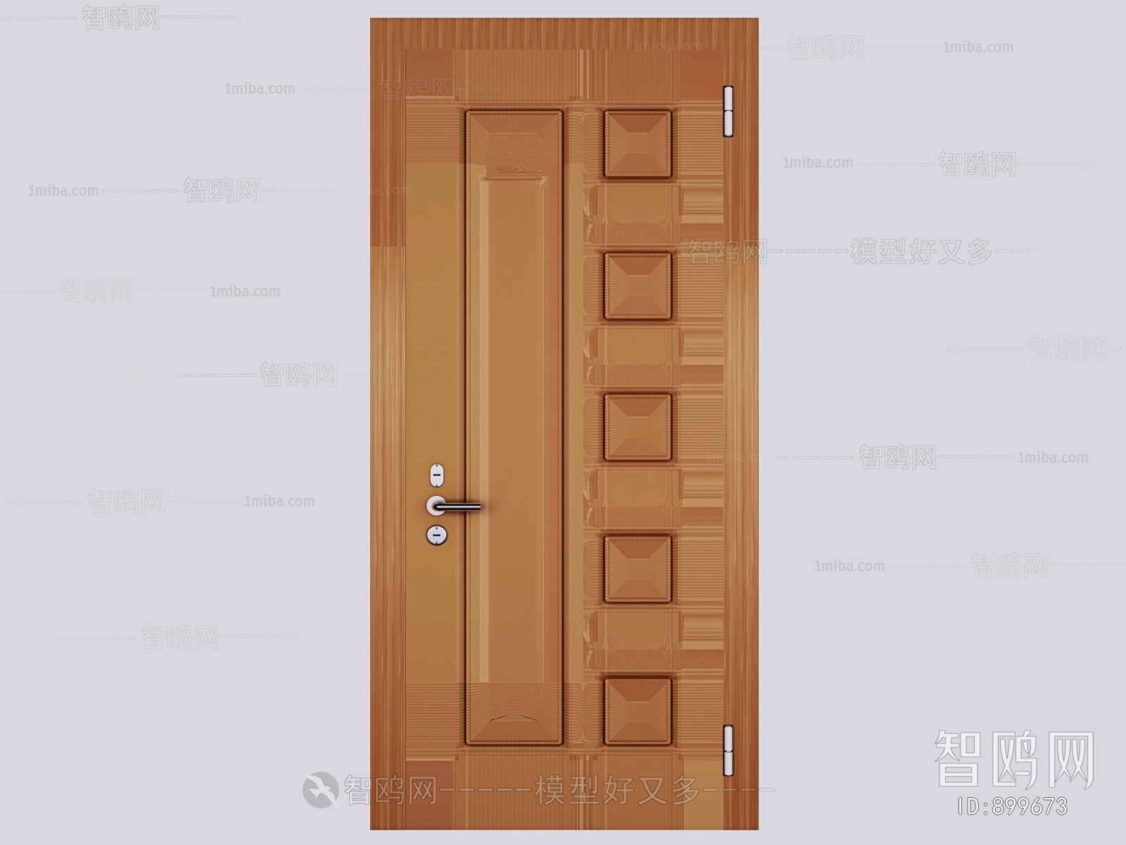 Modern Door