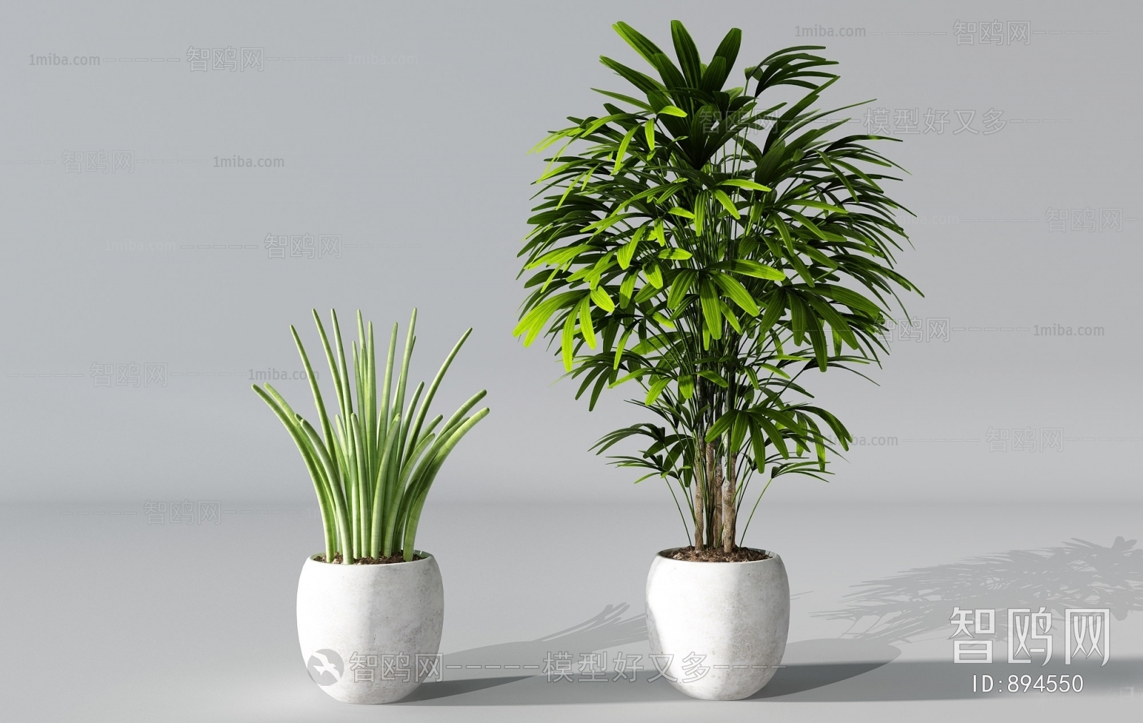 Modern Potted Green Plant