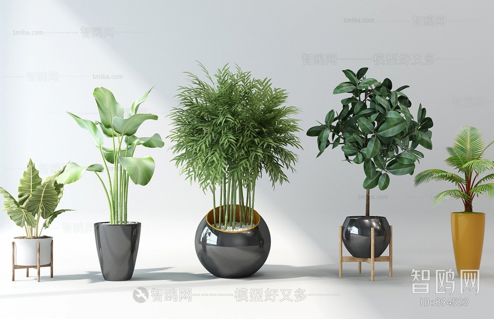 Modern Potted Green Plant