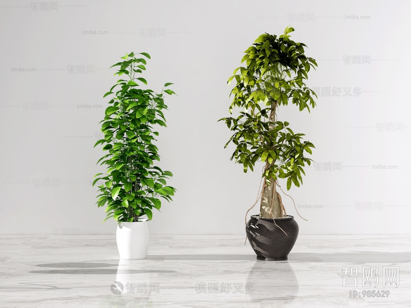 Modern Potted Green Plant