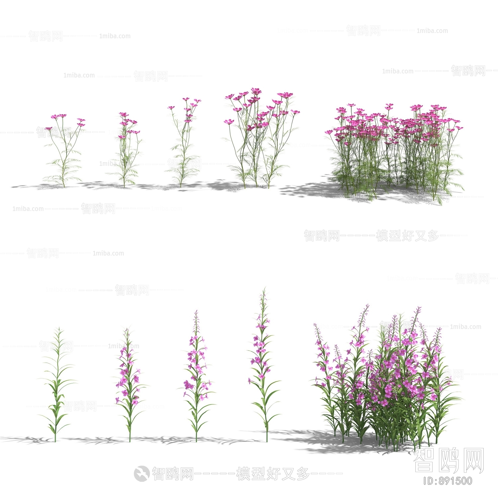 Modern Flowers And Grass