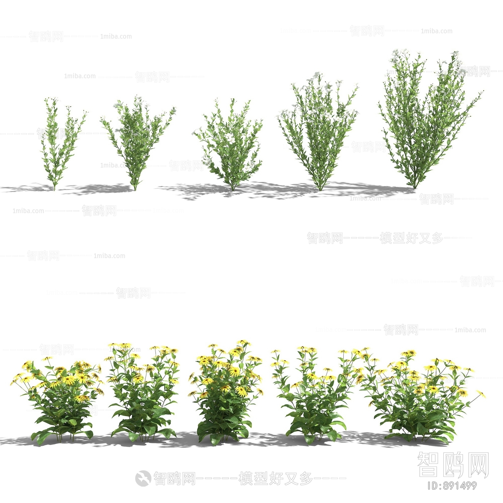 Modern Flowers And Grass