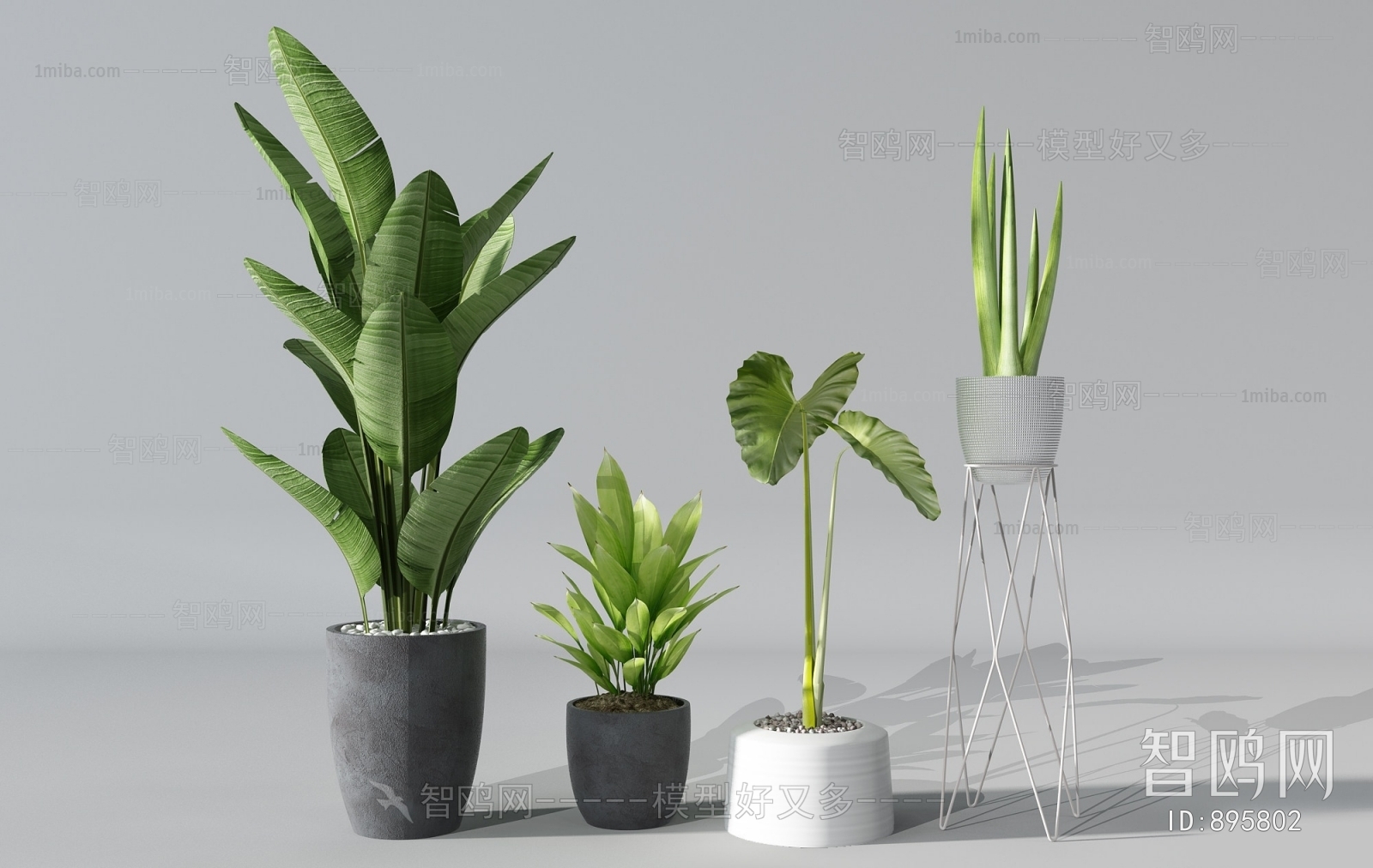 Modern Potted Green Plant