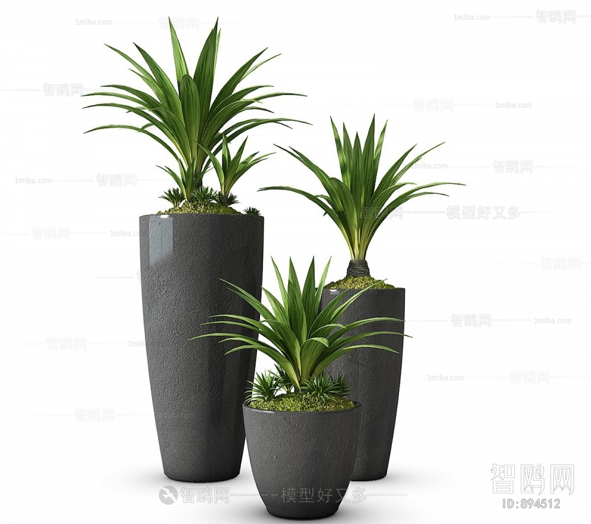 Modern Potted Green Plant