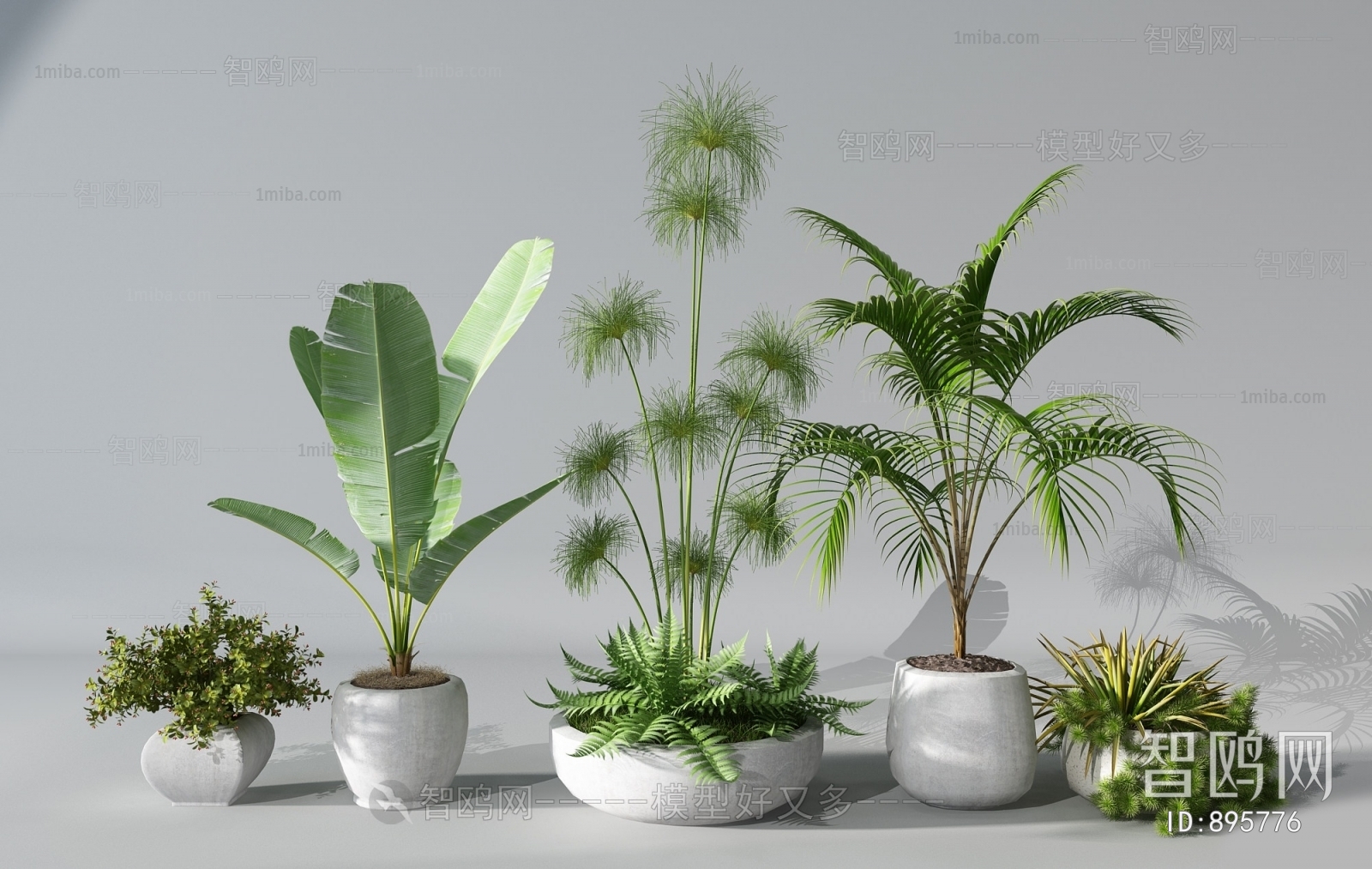Modern Potted Green Plant