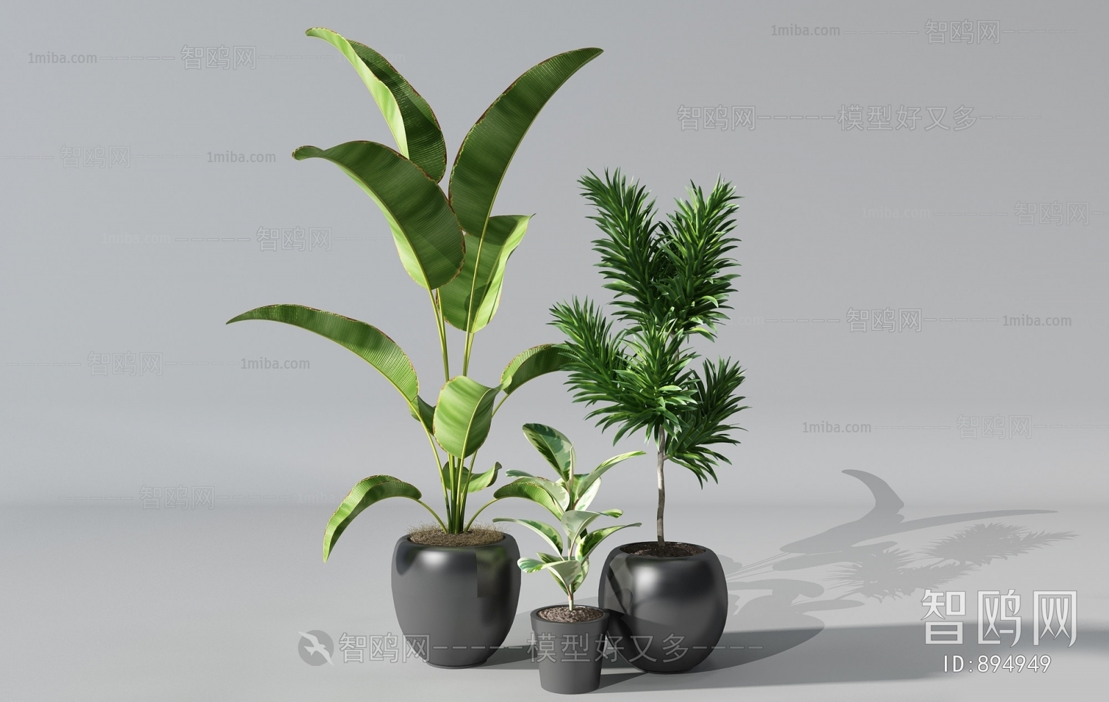 Modern Potted Green Plant