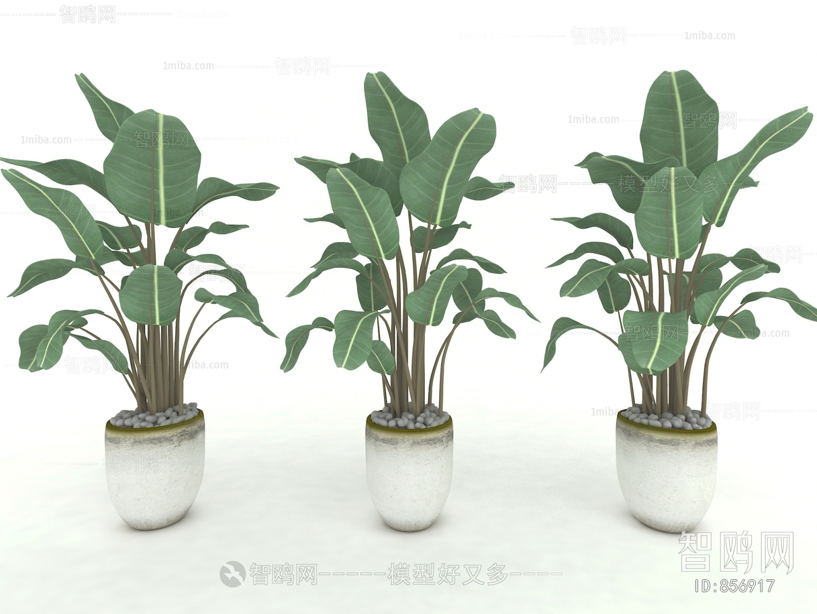 Modern Potted Green Plant