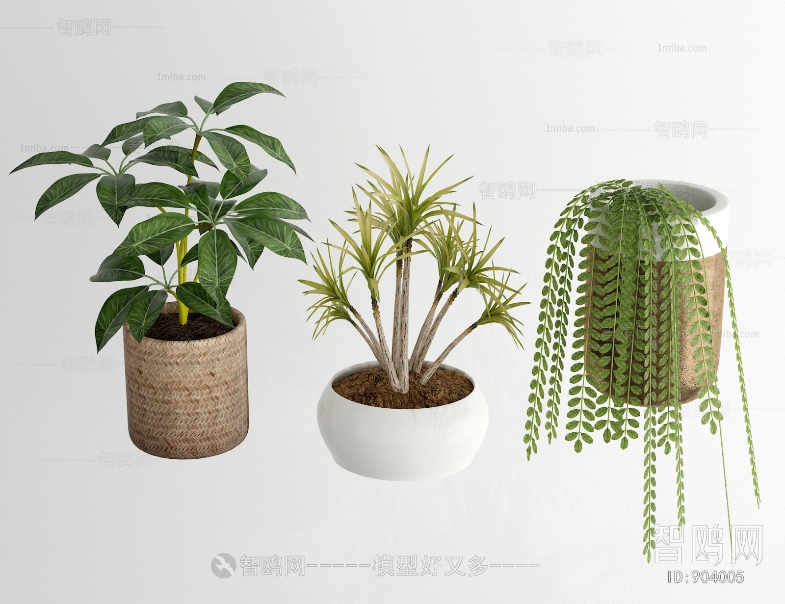 Modern Potted Green Plant