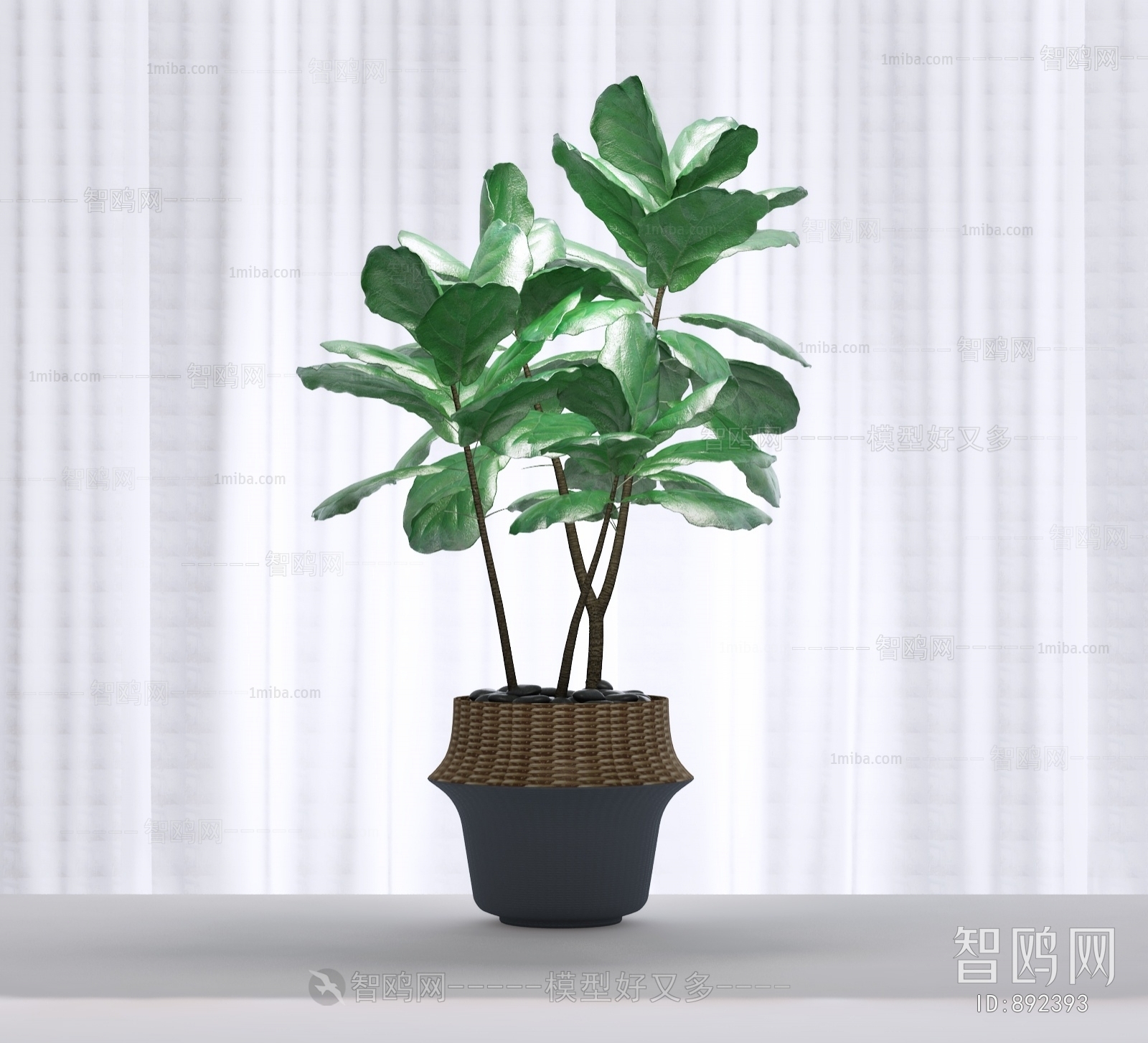 Modern Potted Green Plant