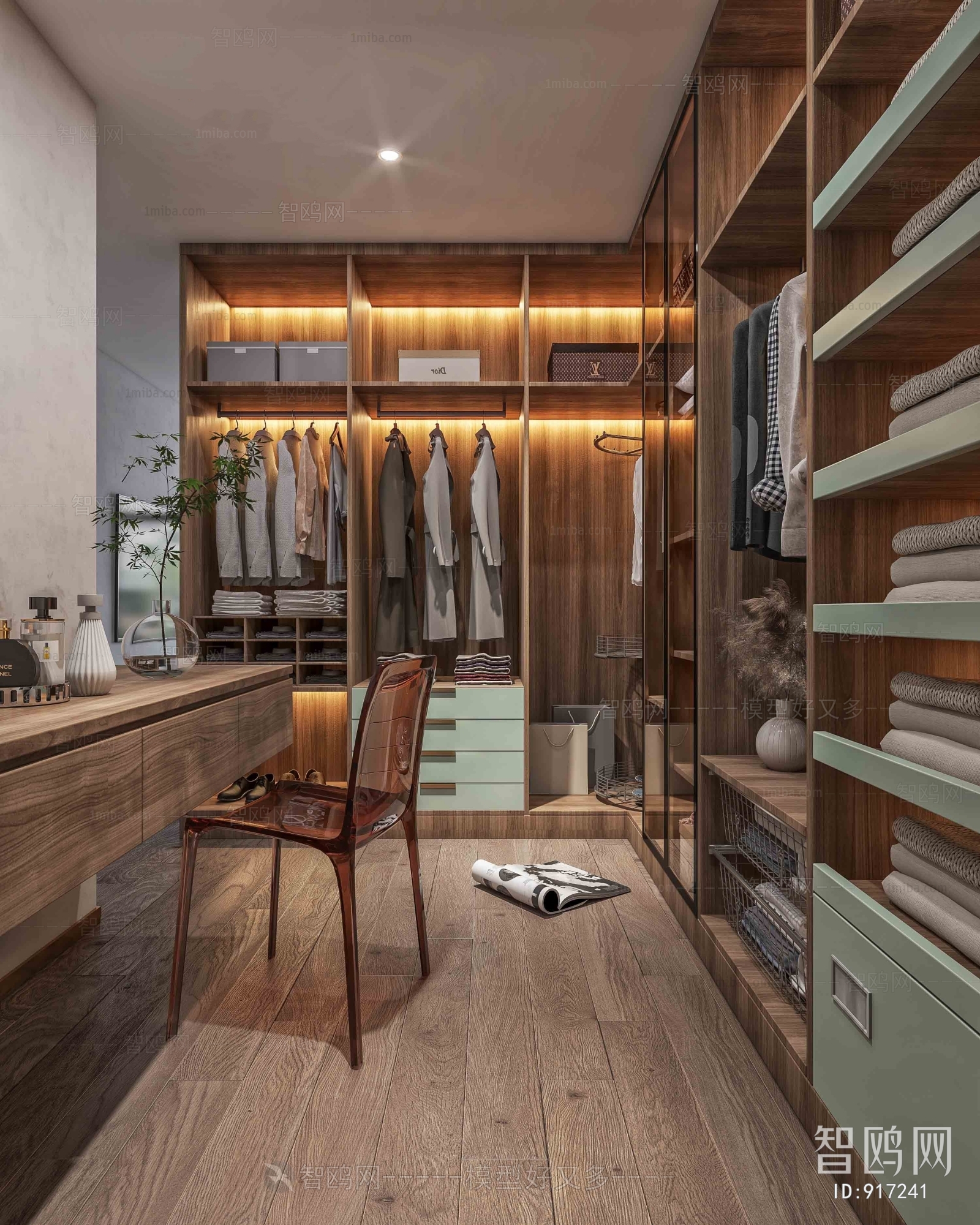 Modern Clothes Storage Area