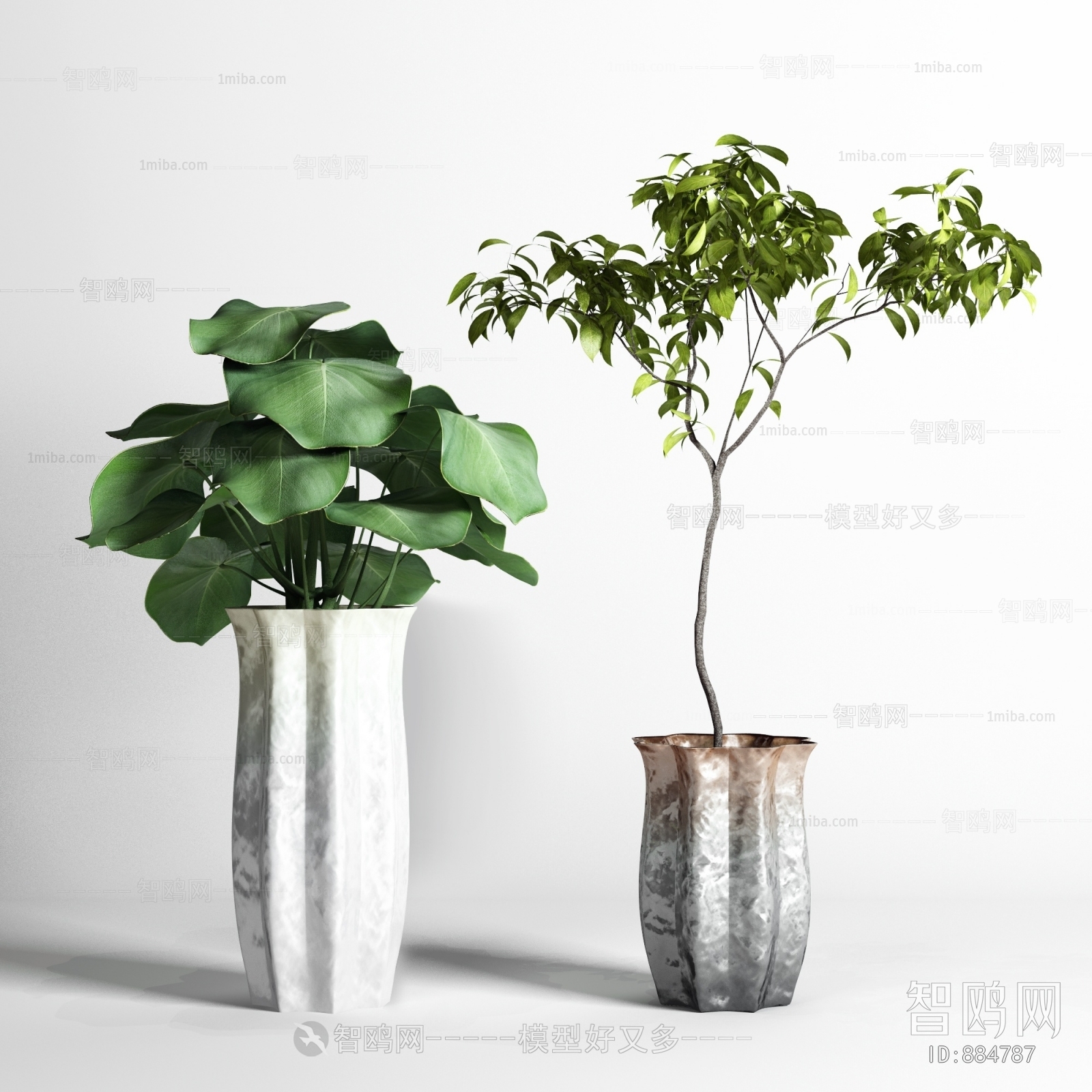 Modern Potted Green Plant