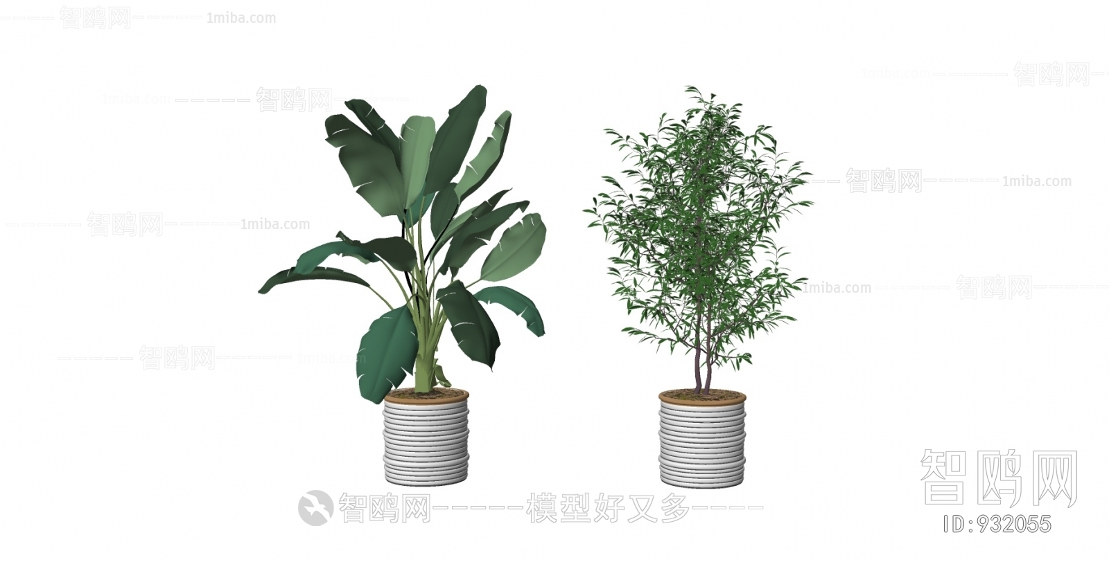 现代绿植盆栽