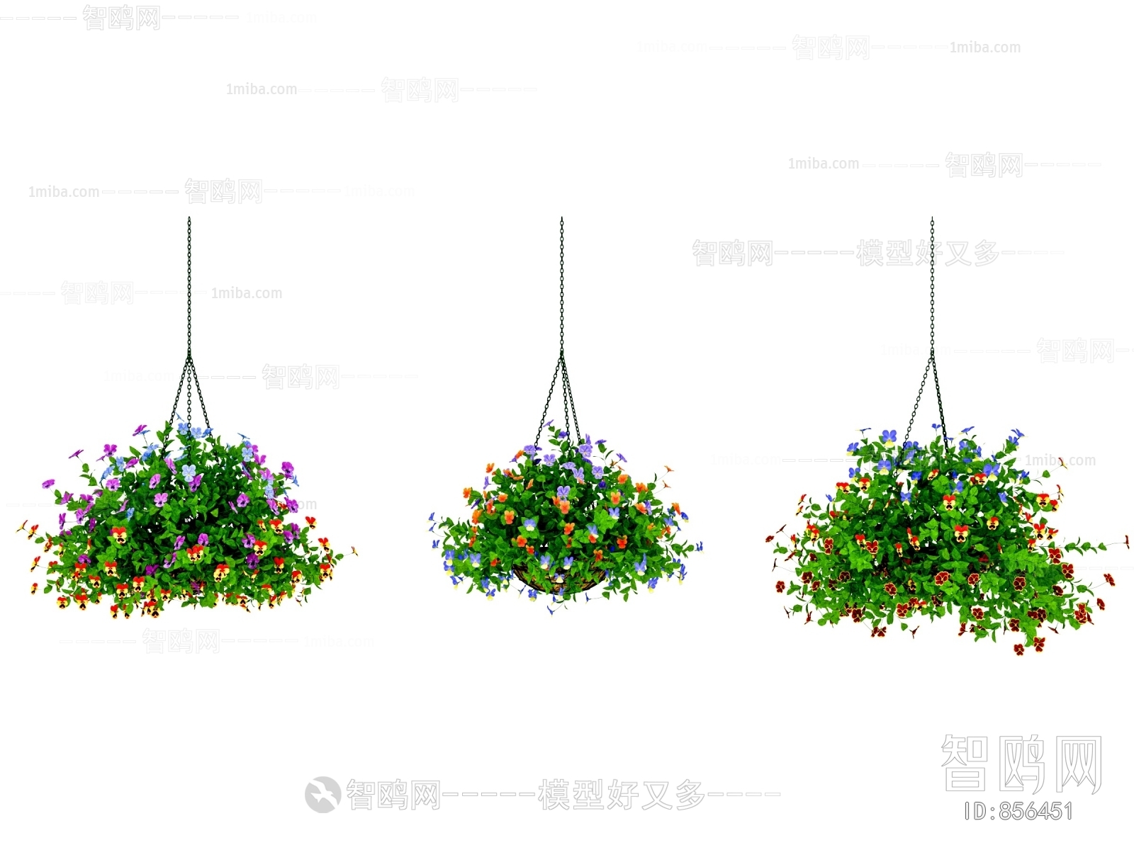Modern Chlorophytum Comosum