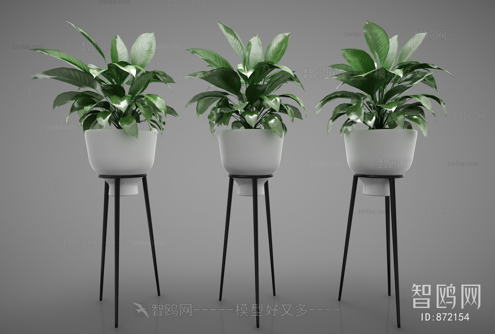 Modern Potted Green Plant