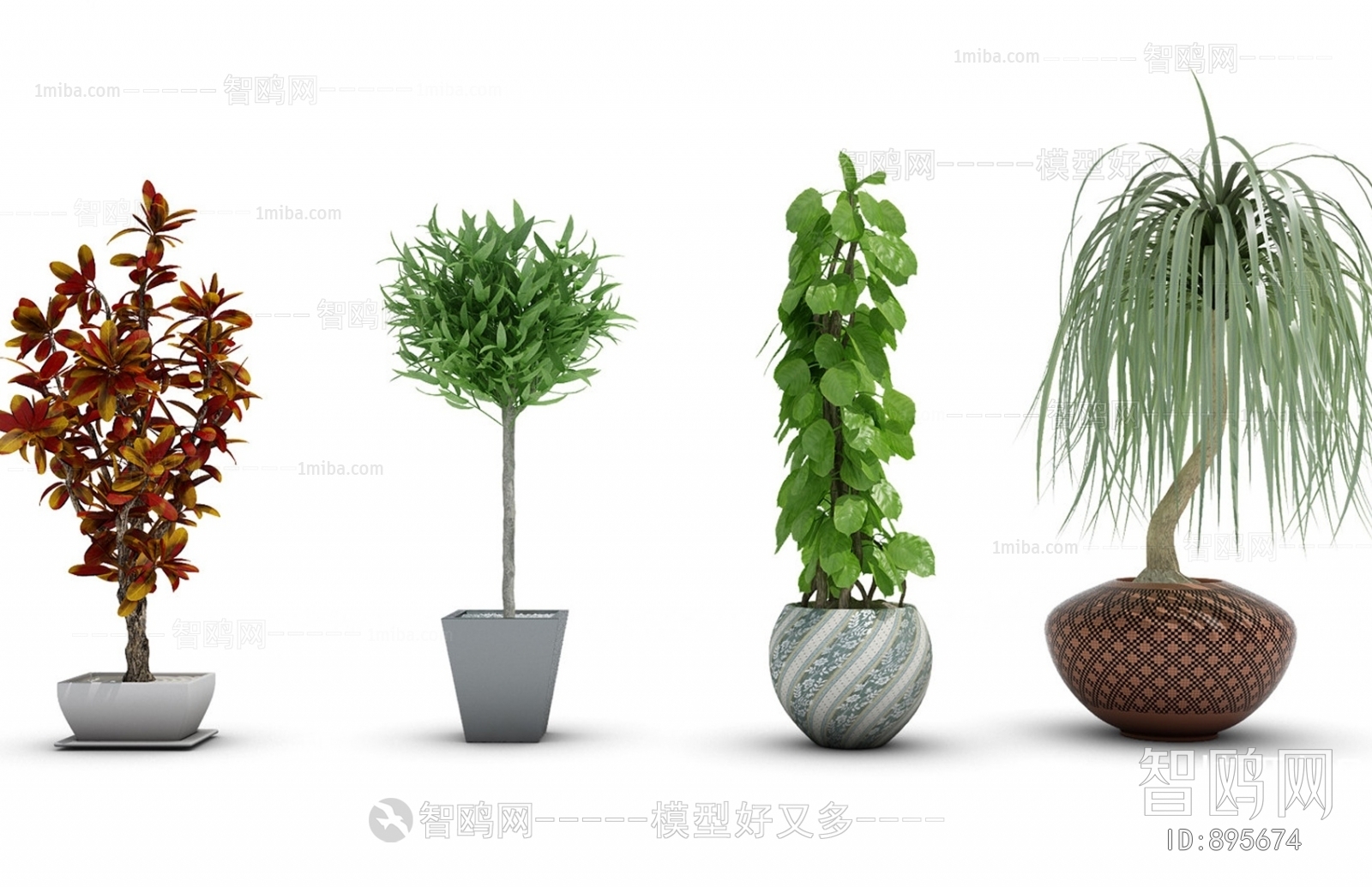 Modern Potted Green Plant