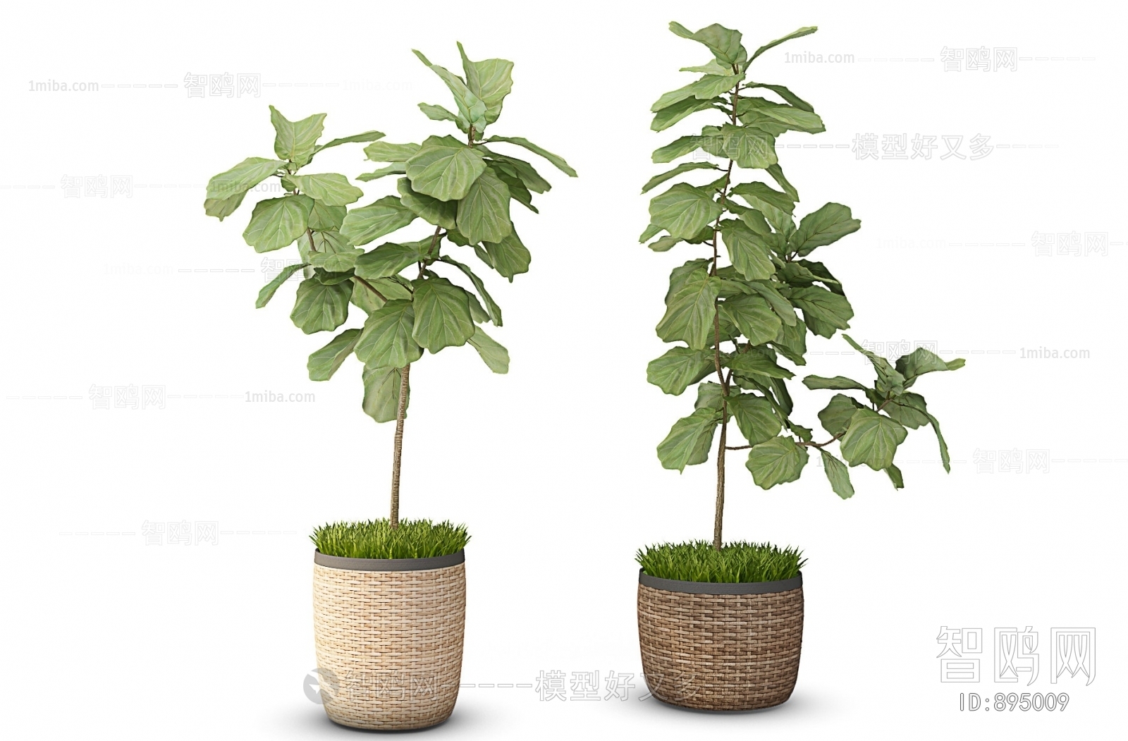 Modern Potted Green Plant