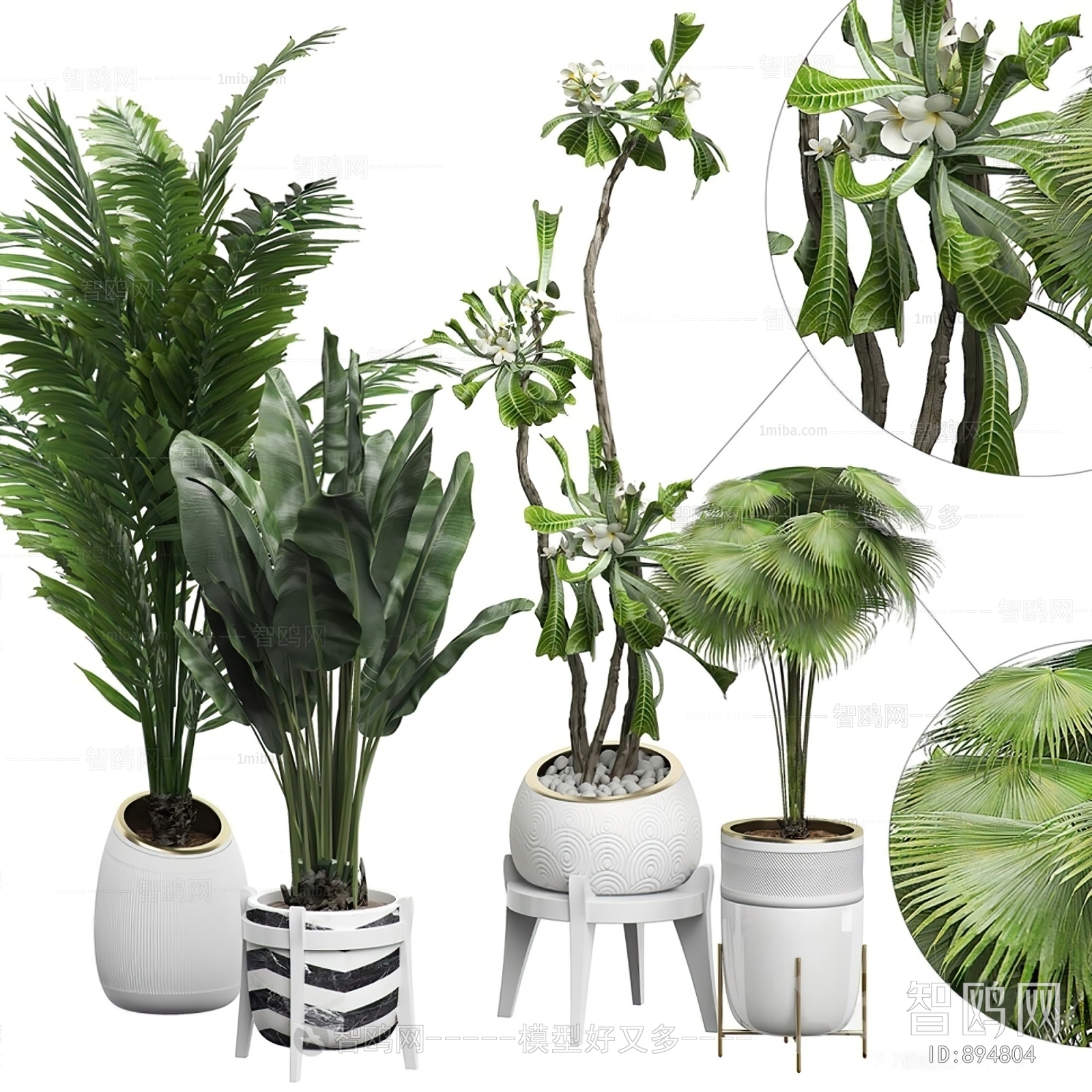 Modern Potted Green Plant