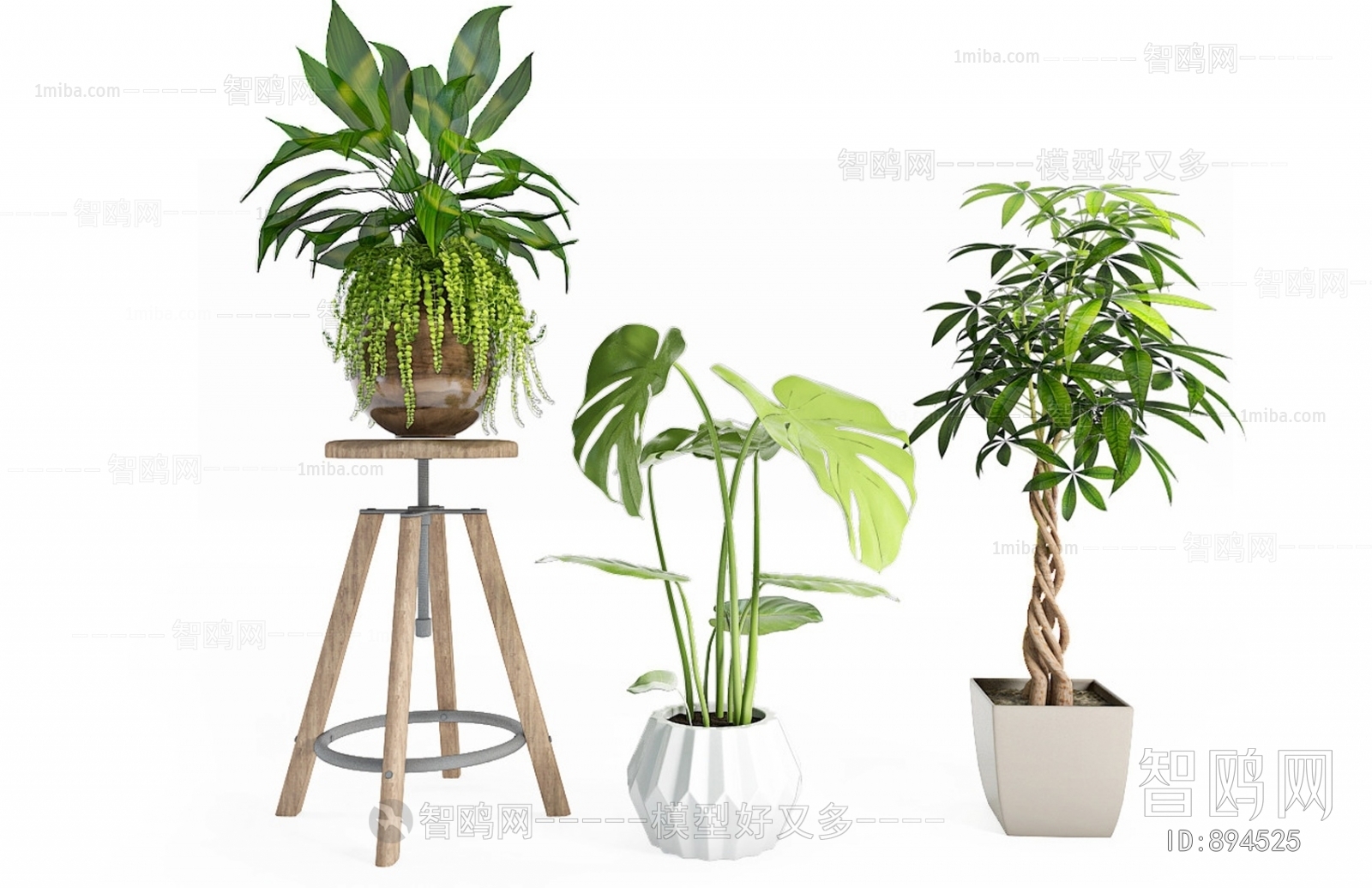 Modern Potted Green Plant