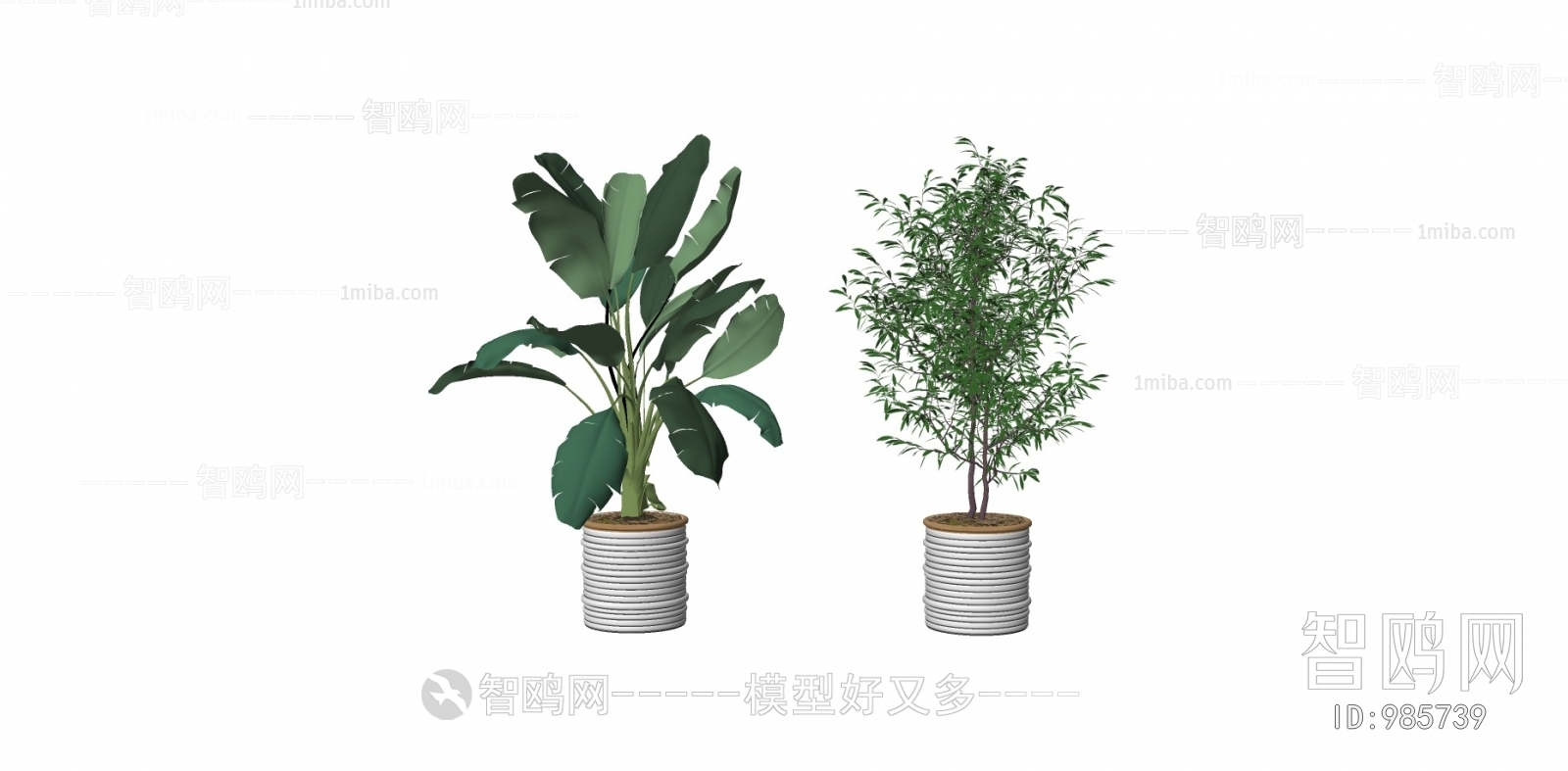 Modern Potted Green Plant