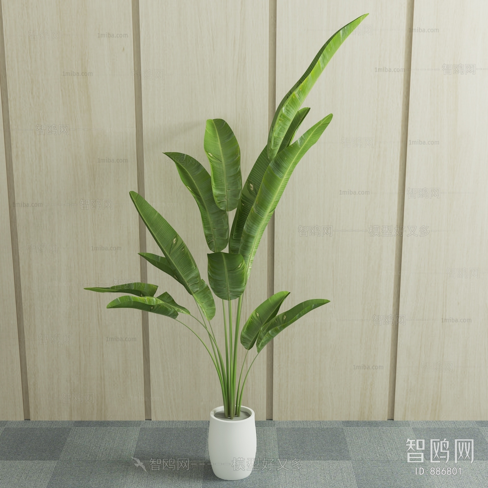 Modern Potted Green Plant