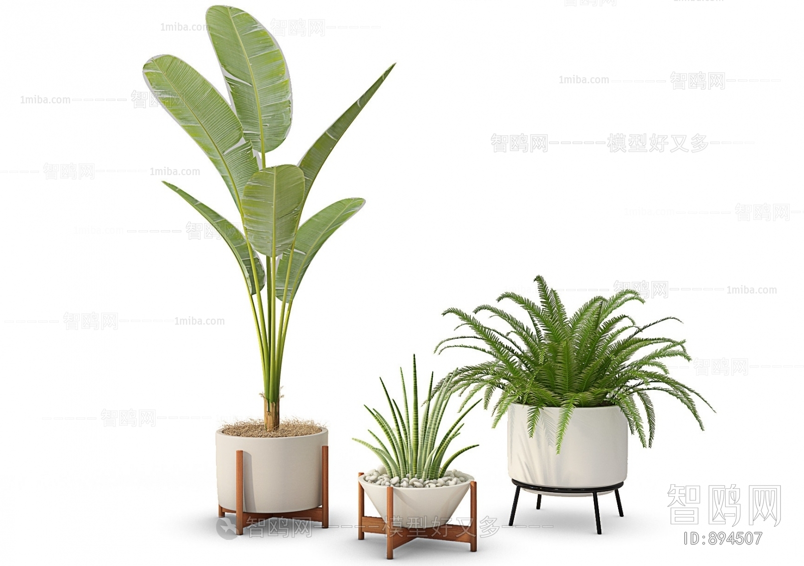 Modern Potted Green Plant