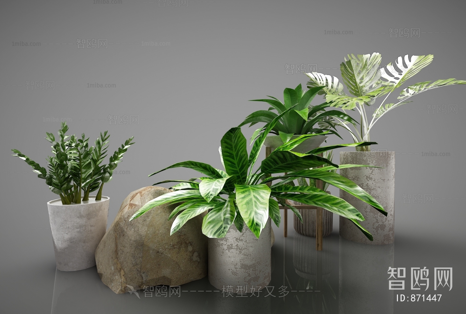 Modern Potted Green Plant