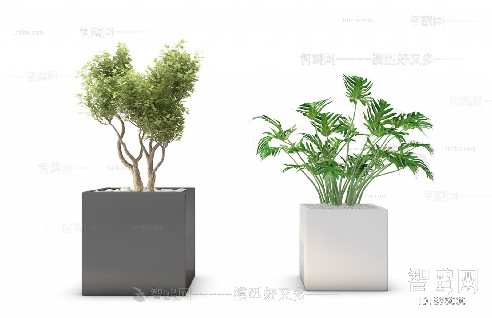 Modern Potted Green Plant