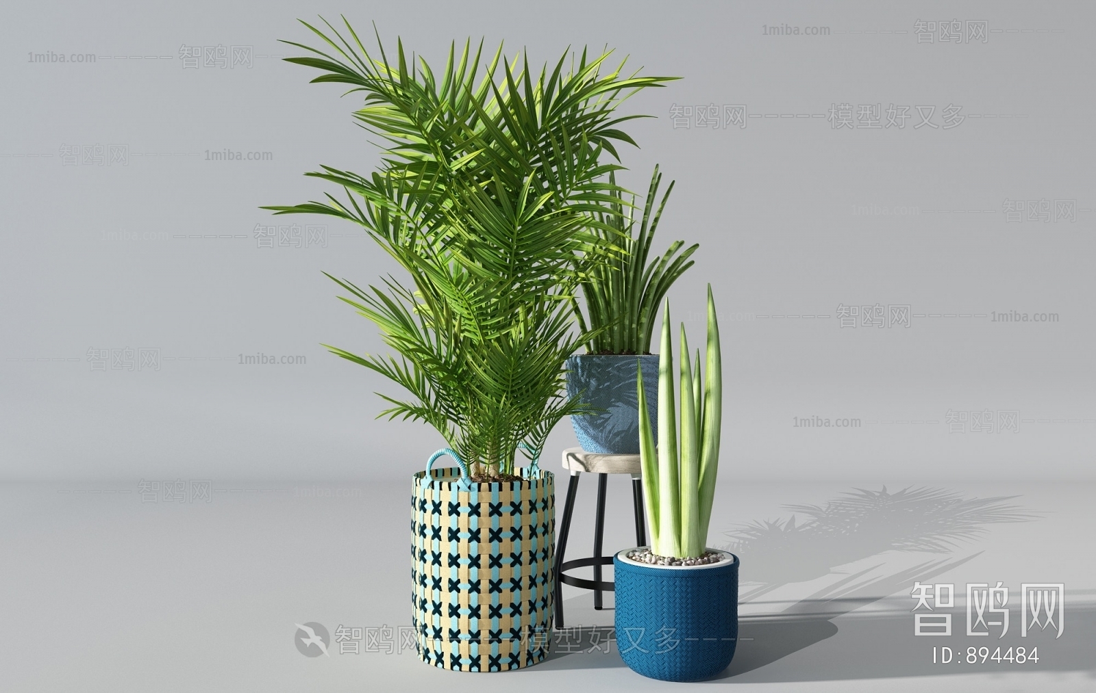 Modern Potted Green Plant