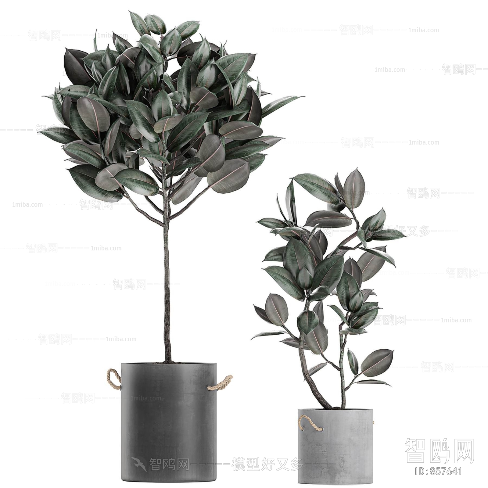 Modern Potted Green Plant