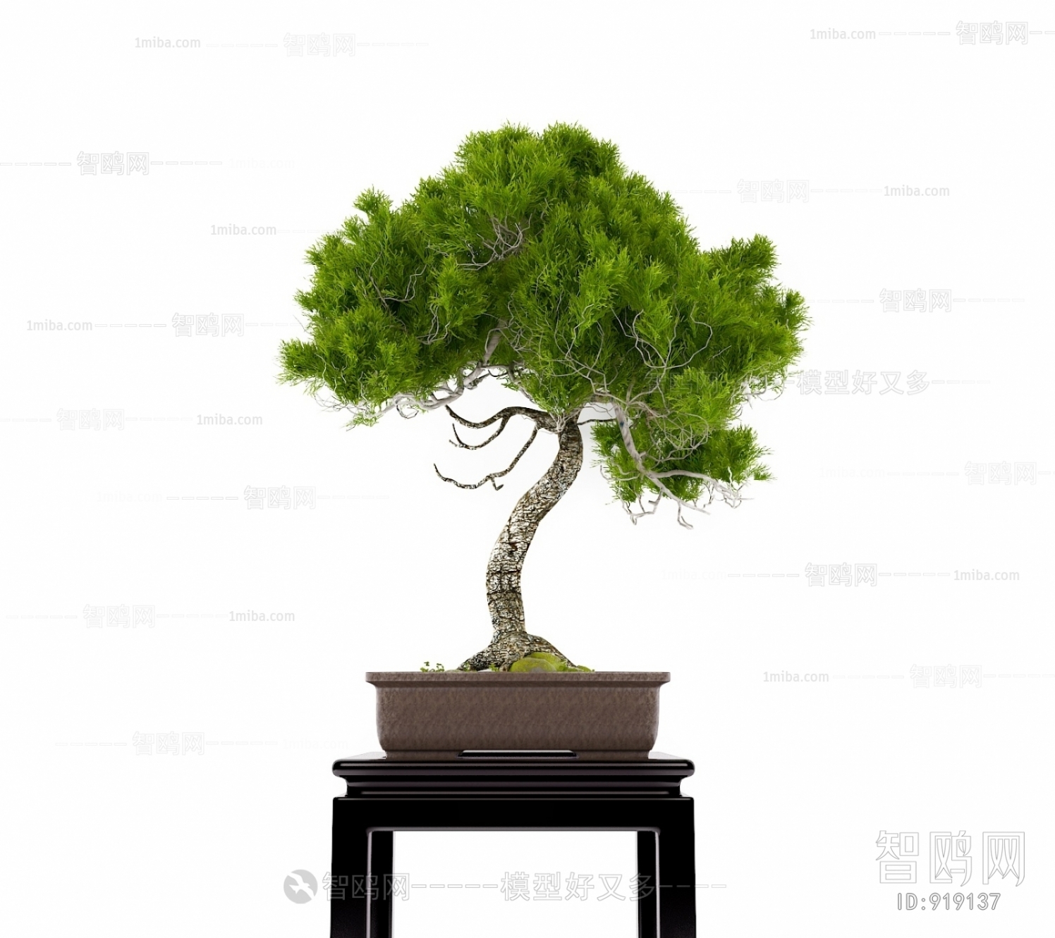 New Chinese Style Bonsai