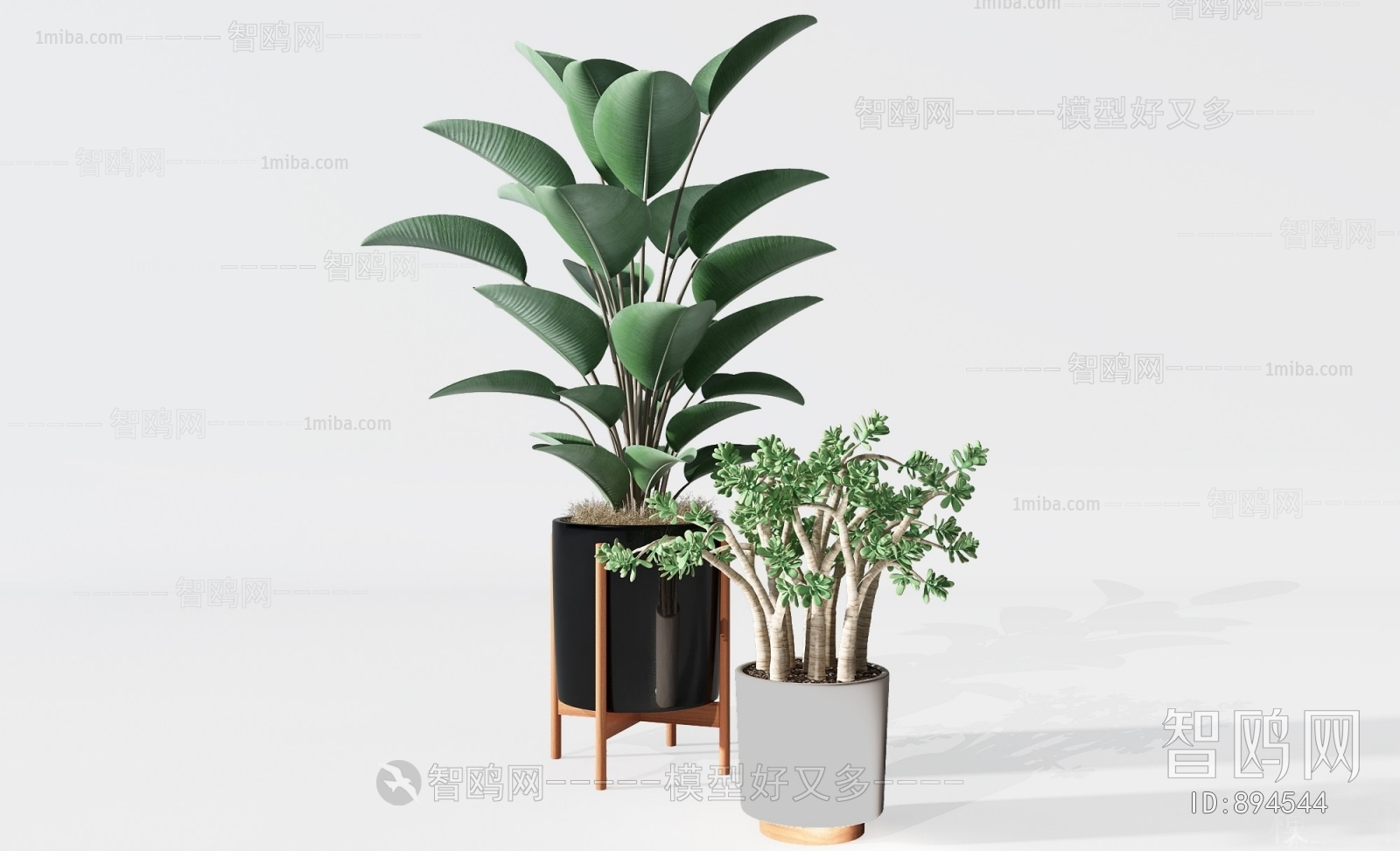 Modern Potted Green Plant