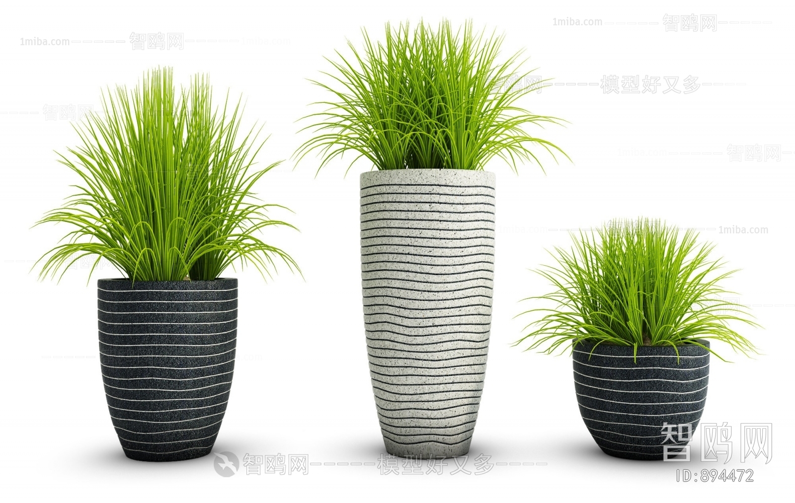 Modern Potted Green Plant