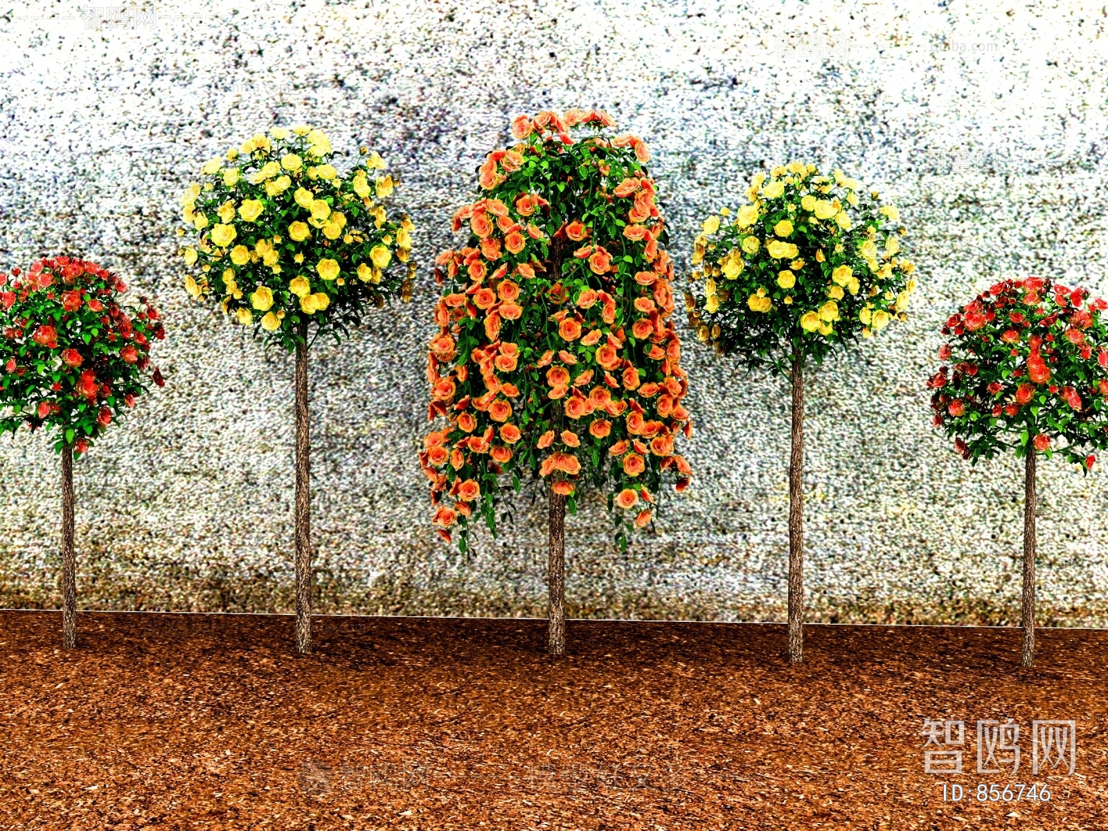 Modern Flowers And Grass