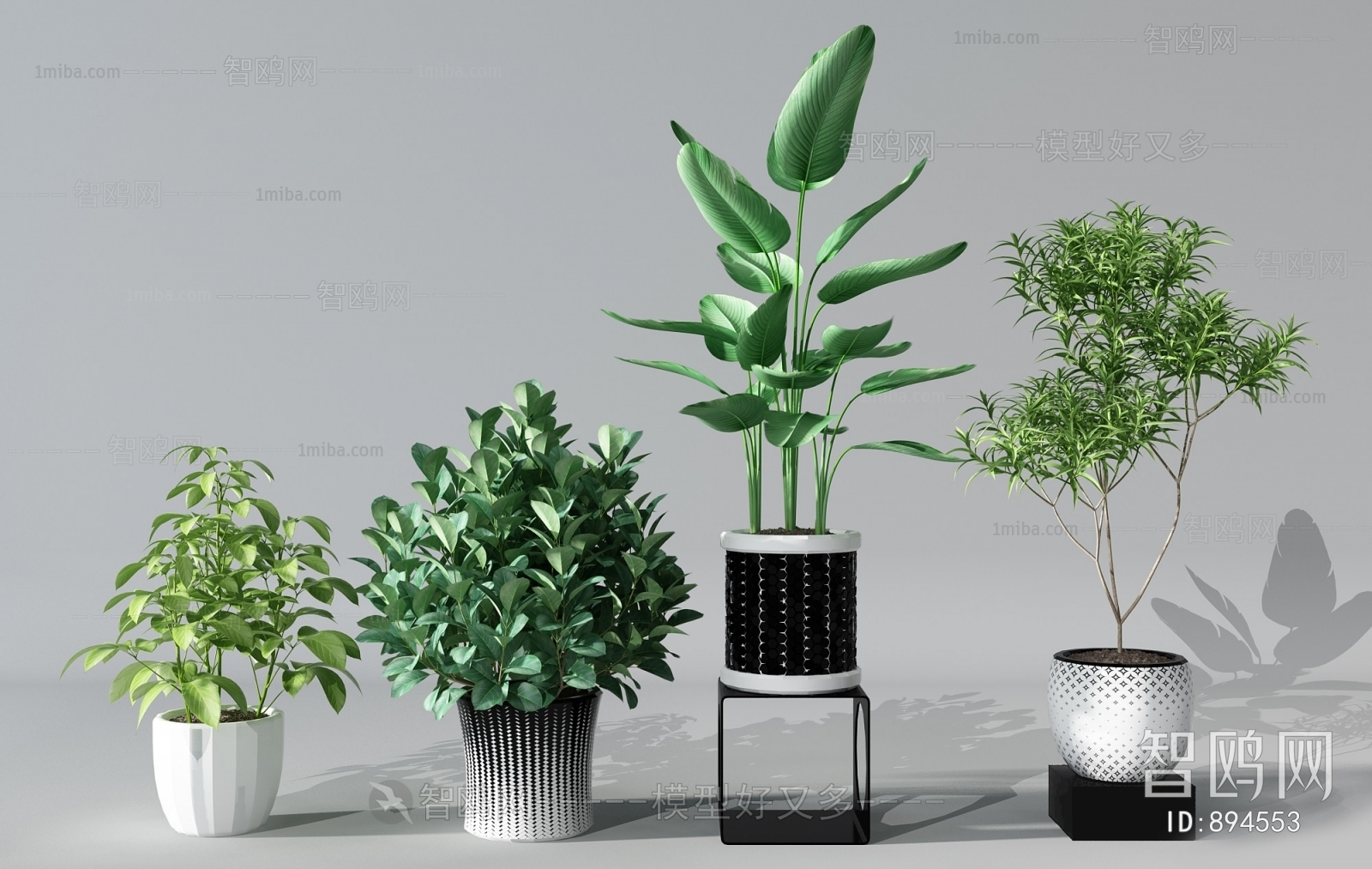 Modern Potted Green Plant