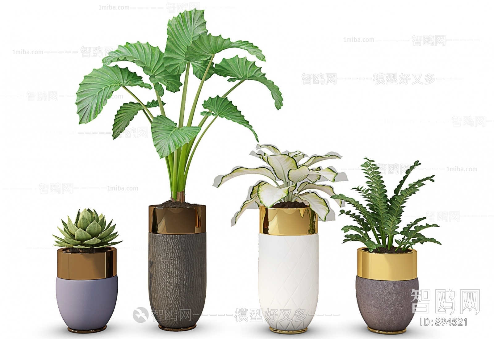 Modern Potted Green Plant