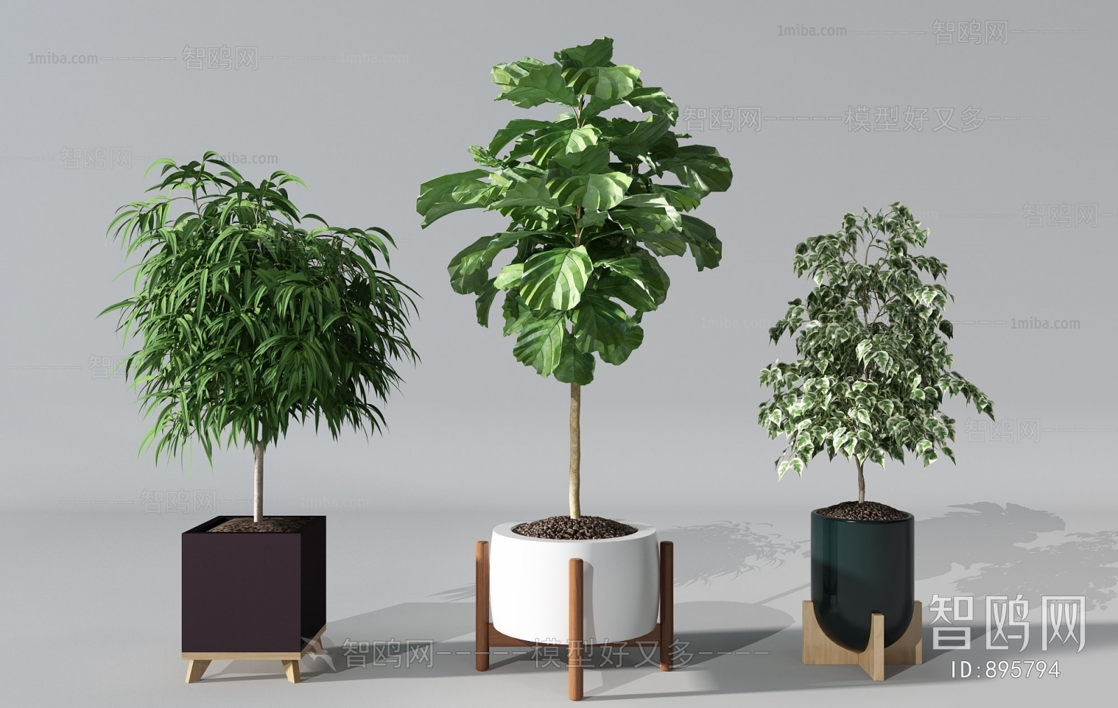 Modern Potted Green Plant