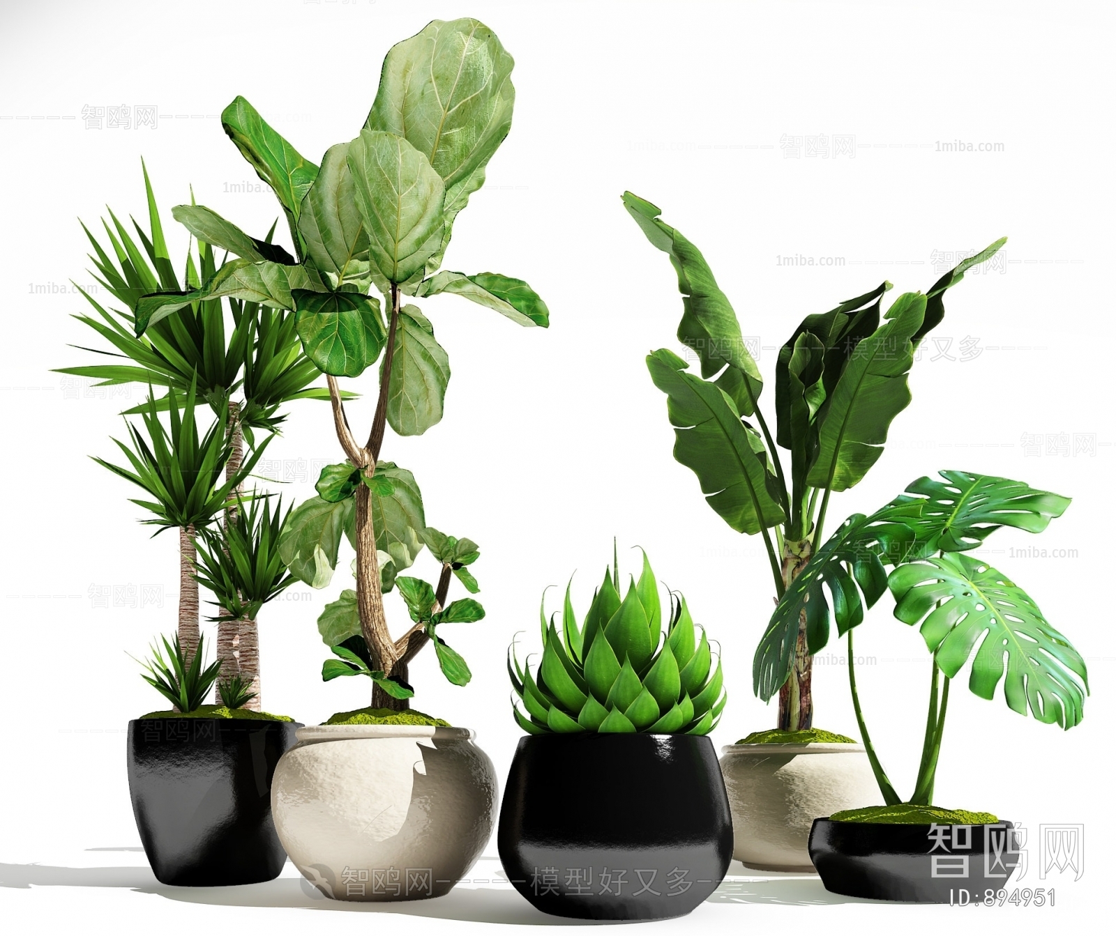 Modern Potted Green Plant